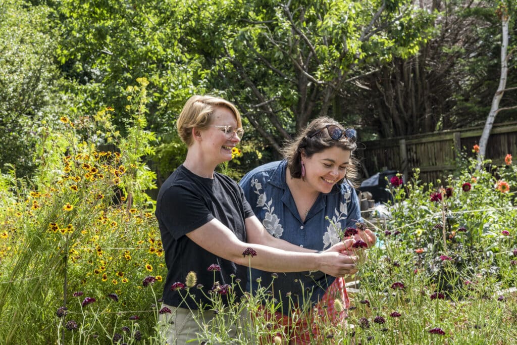 Natural Dyeing Workshops